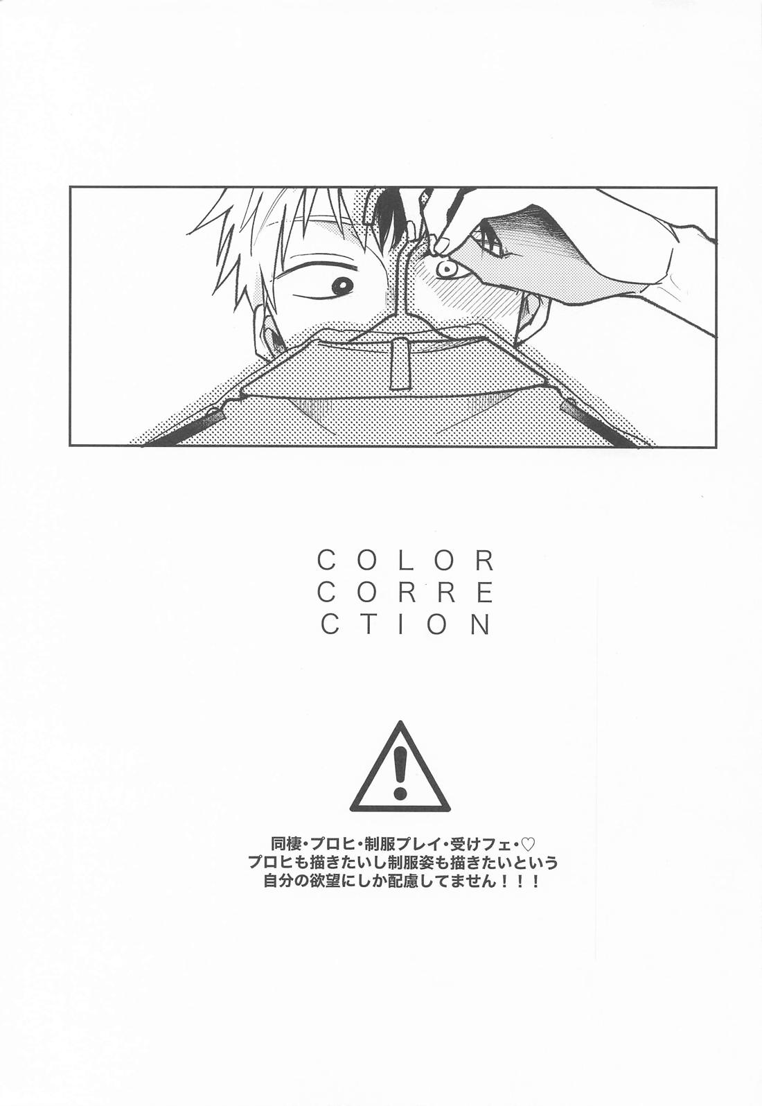 COLOR CORRECTION 2ページ
