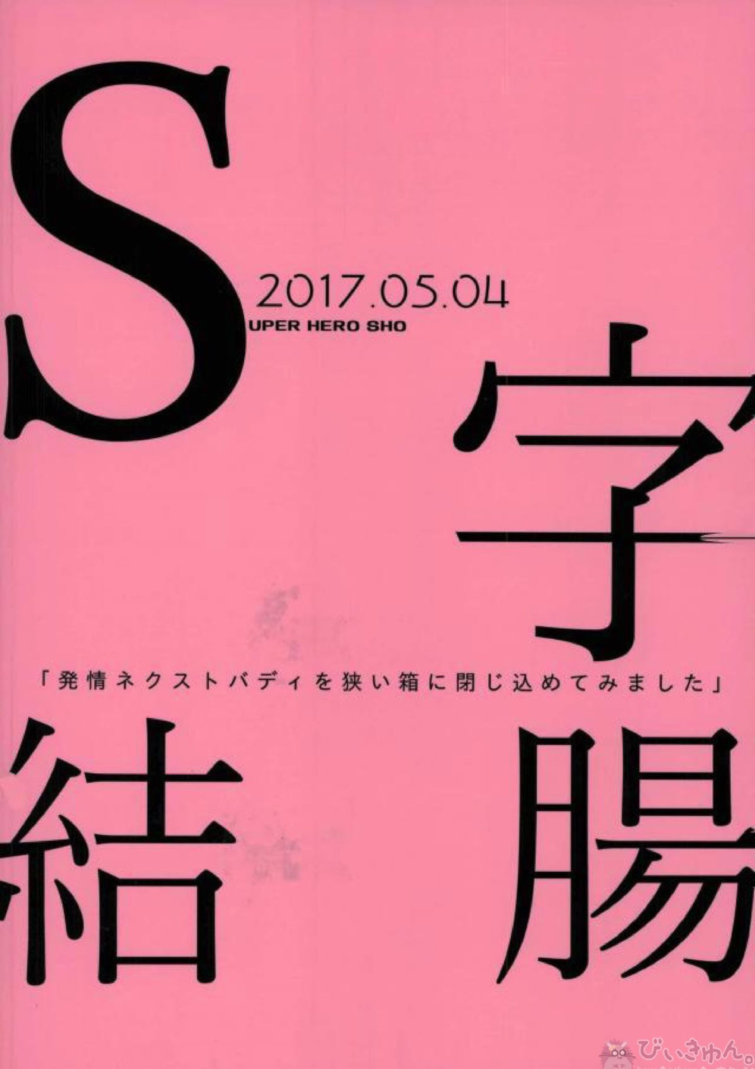 S字結腸 29ページ