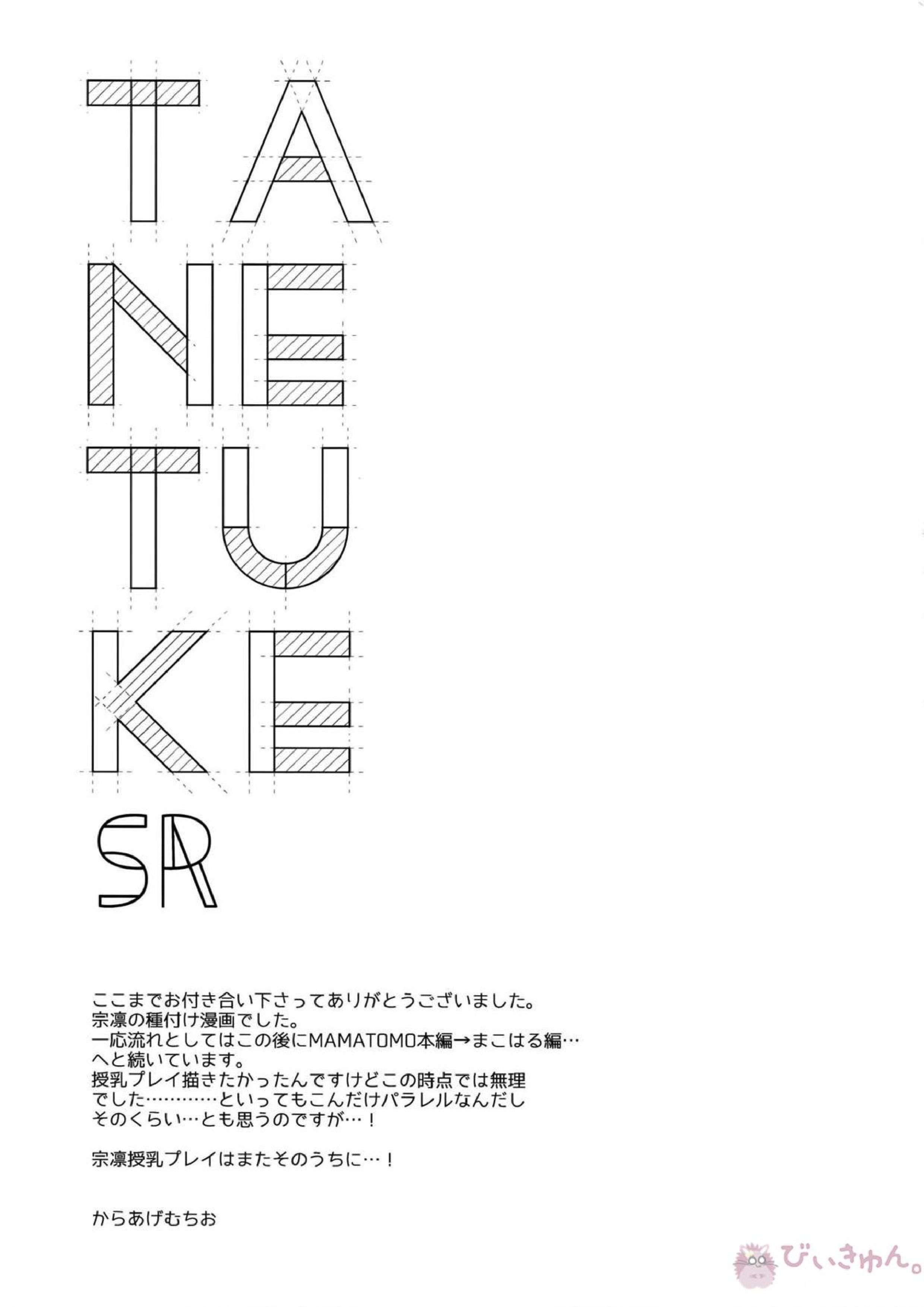 TANETUKE SR 20ページ