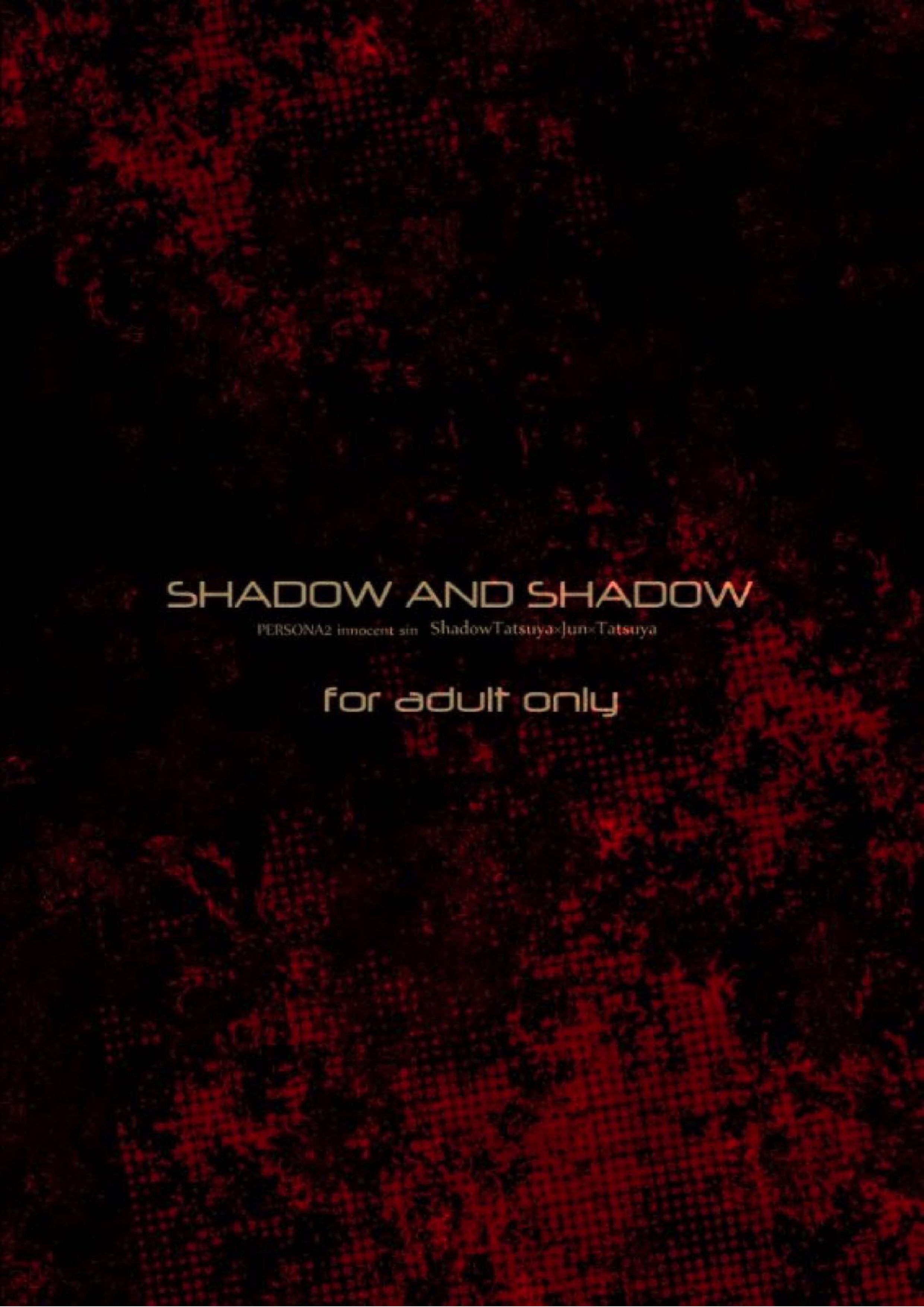 SHADOW AND SHADOW 43ページ