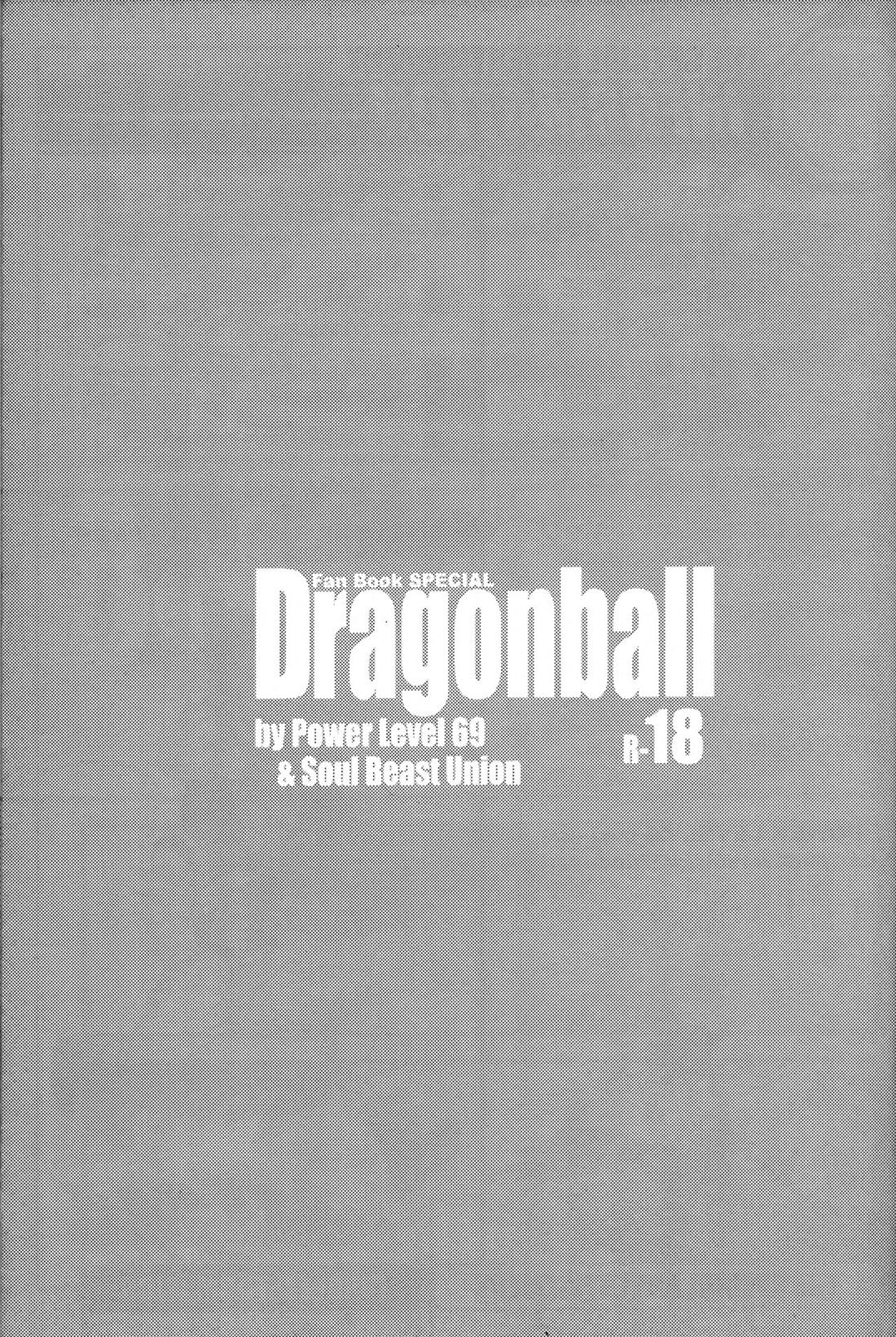 Dragonball Fan Book SPECIAL 4ページ