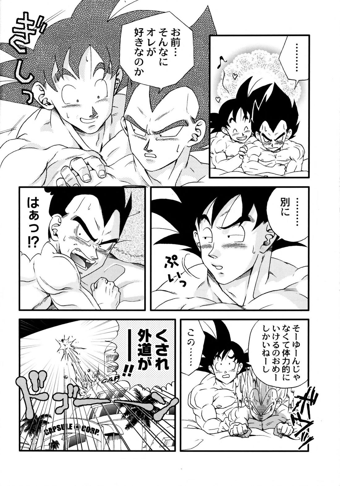 Dragonball Fan Book SPECIAL 7ページ