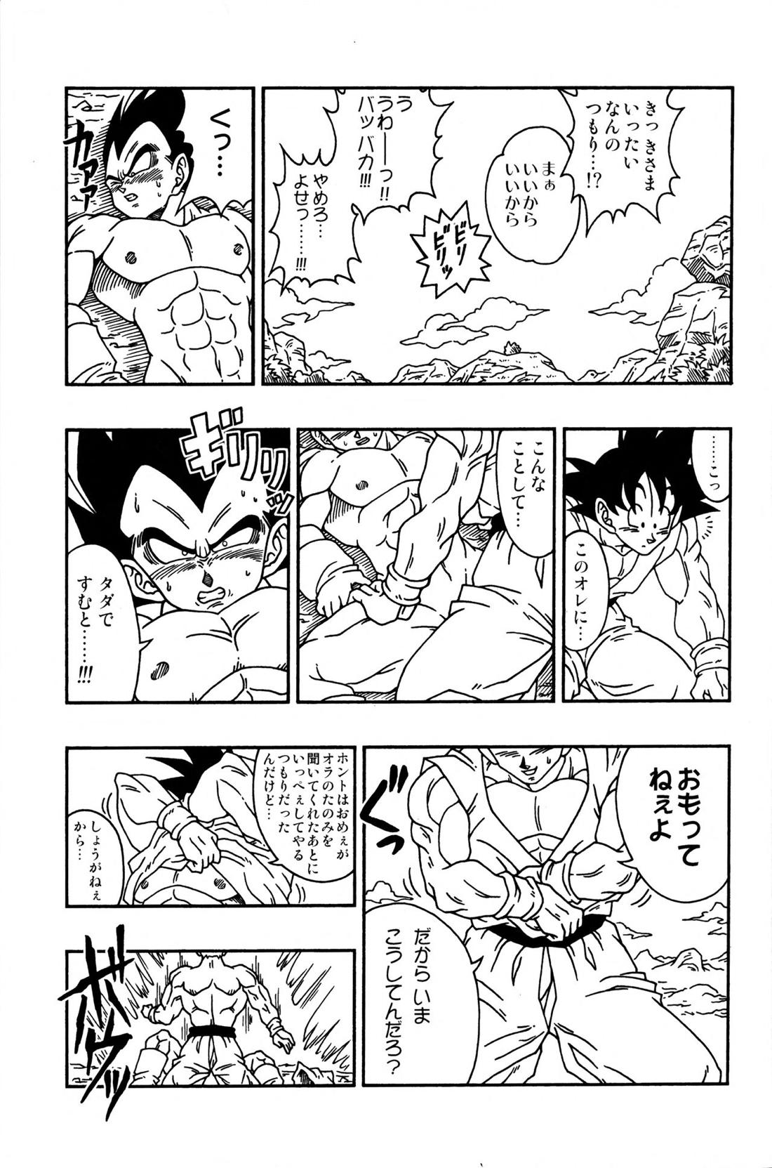 Dragonball Fan Book SPECIAL 24ページ