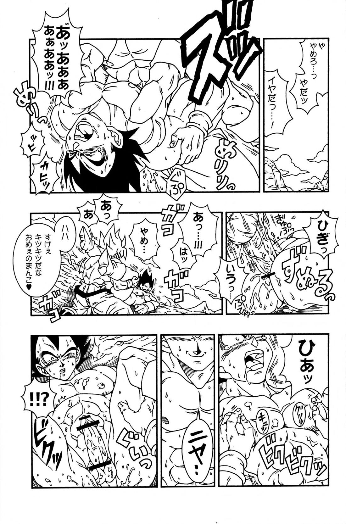 Dragonball Fan Book SPECIAL 26ページ