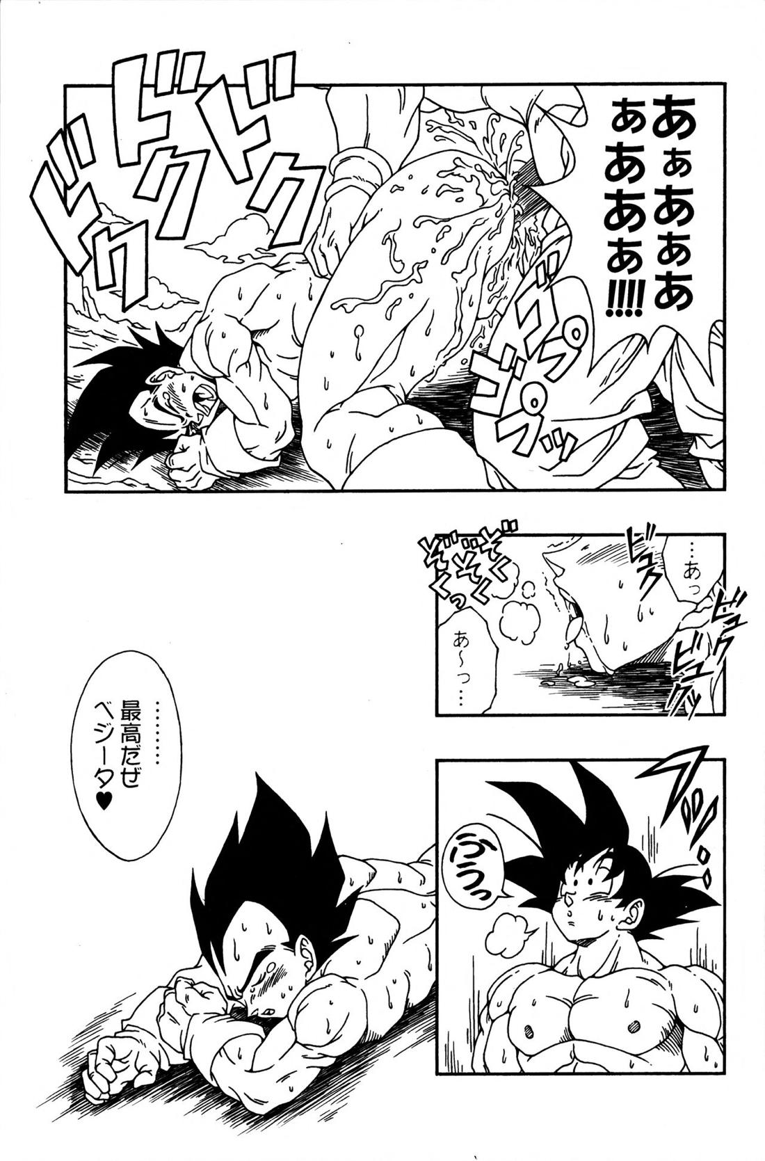 Dragonball Fan Book SPECIAL 28ページ