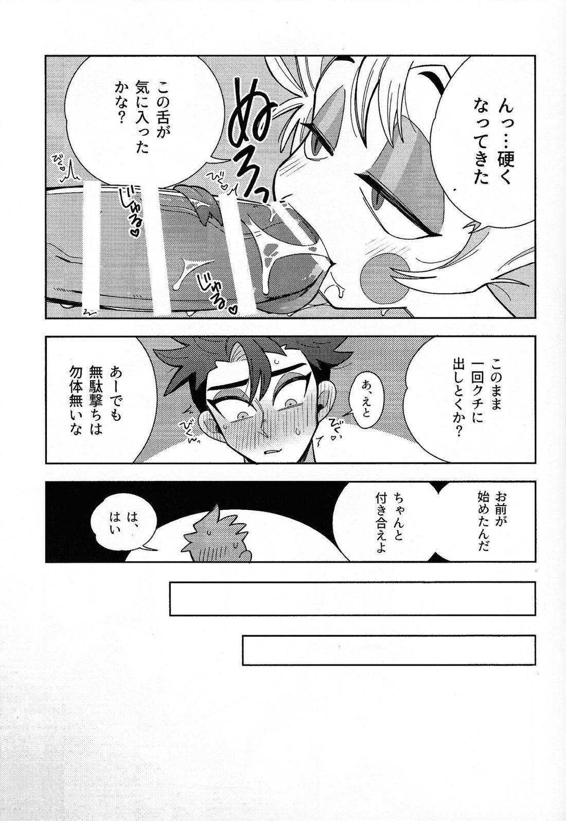 IF 14ページ
