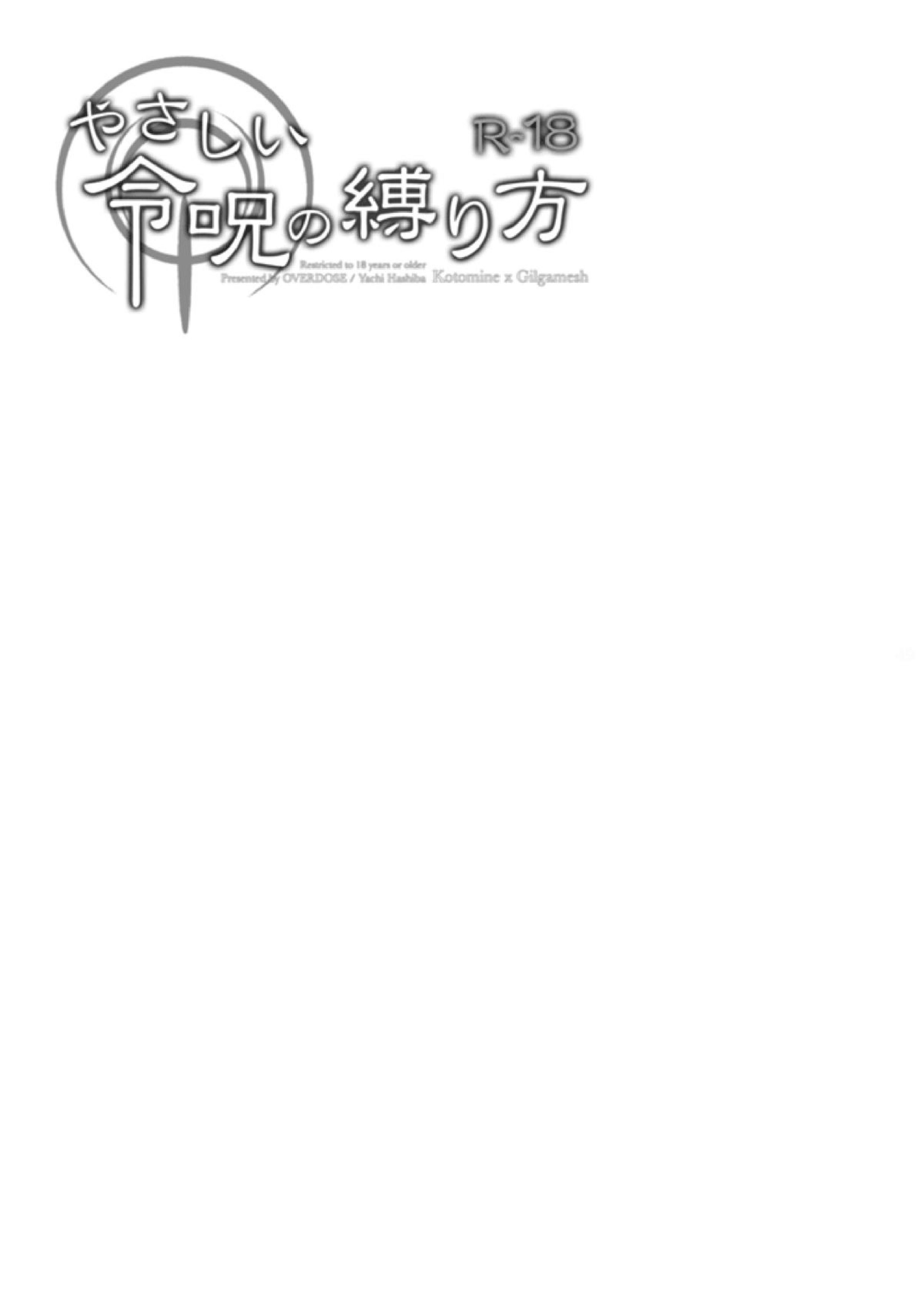 やさしい令呪の縛り方 45ページ