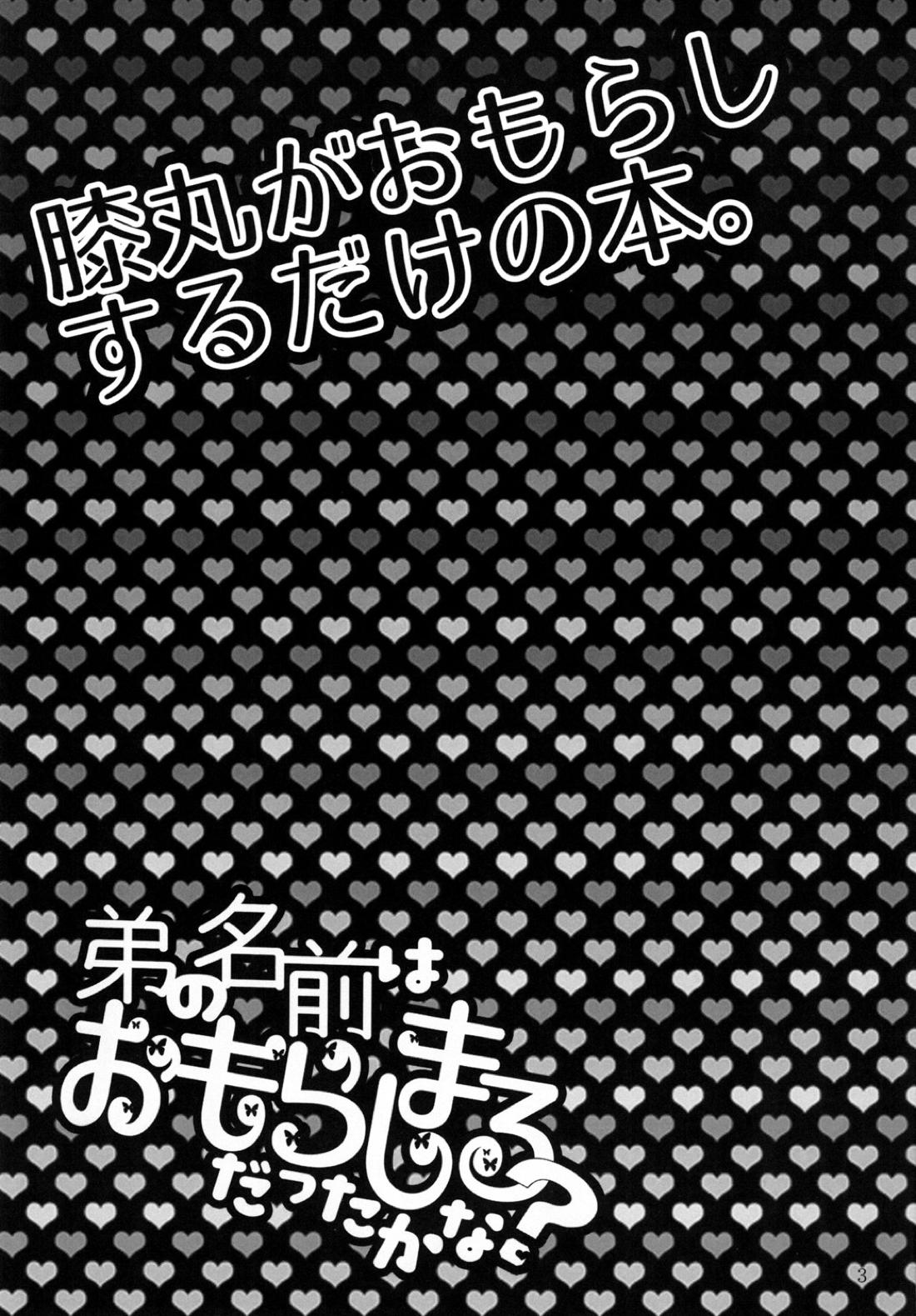 弟の名前はおもらしまるだったかな 2ページ