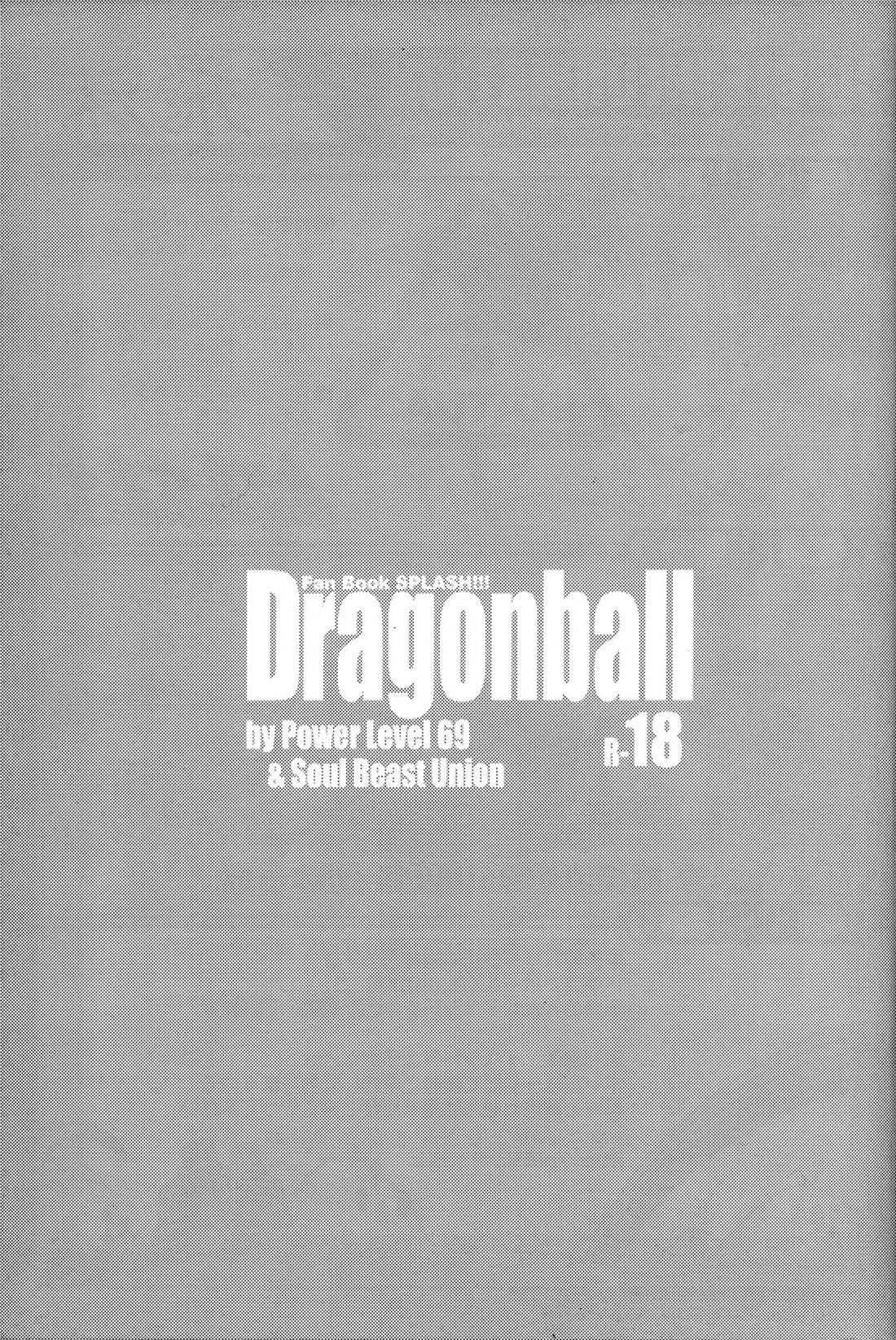 Dragonball Fan Book SPLASH!!! 4ページ