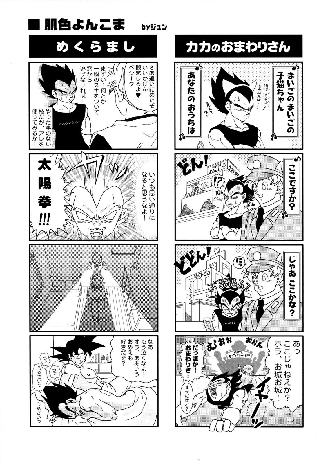 Dragonball Fan Book SPLASH!!! 22ページ