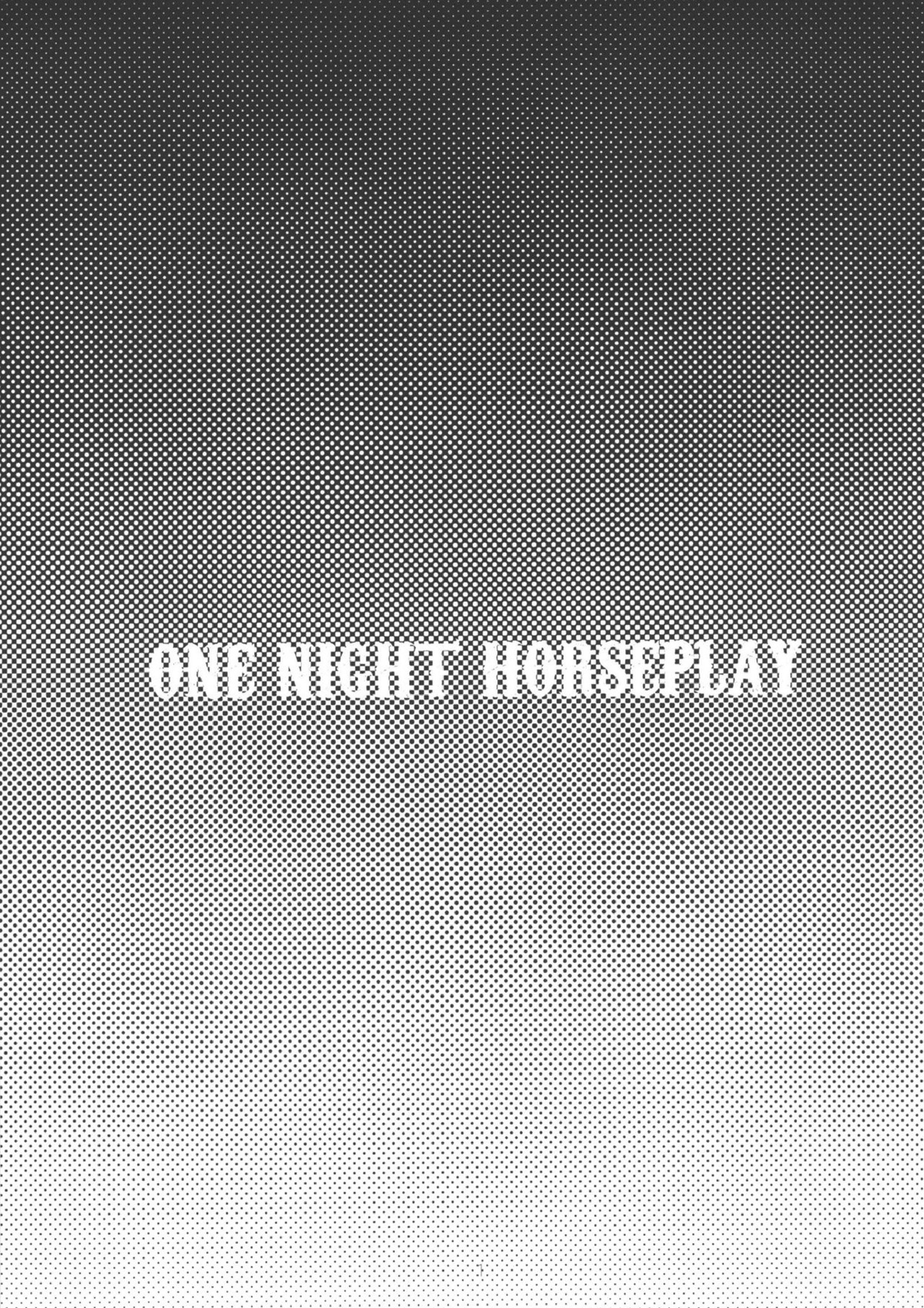 OneNightHorseplay 2ページ