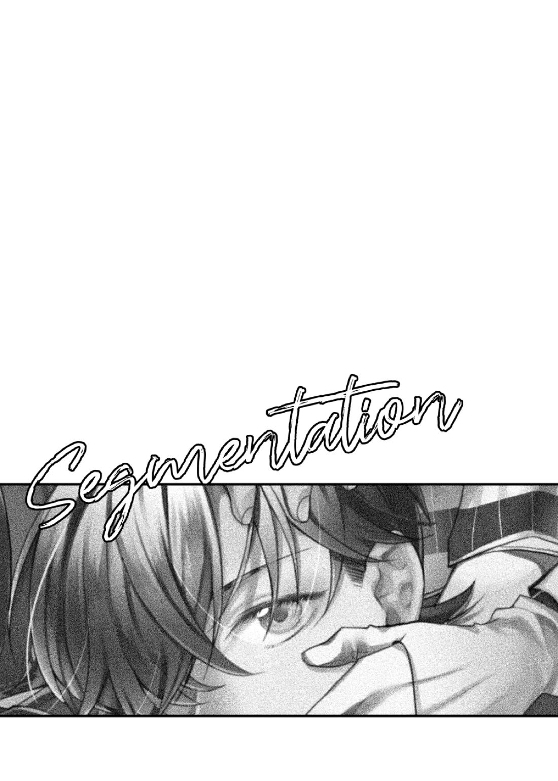 segmentation 59ページ