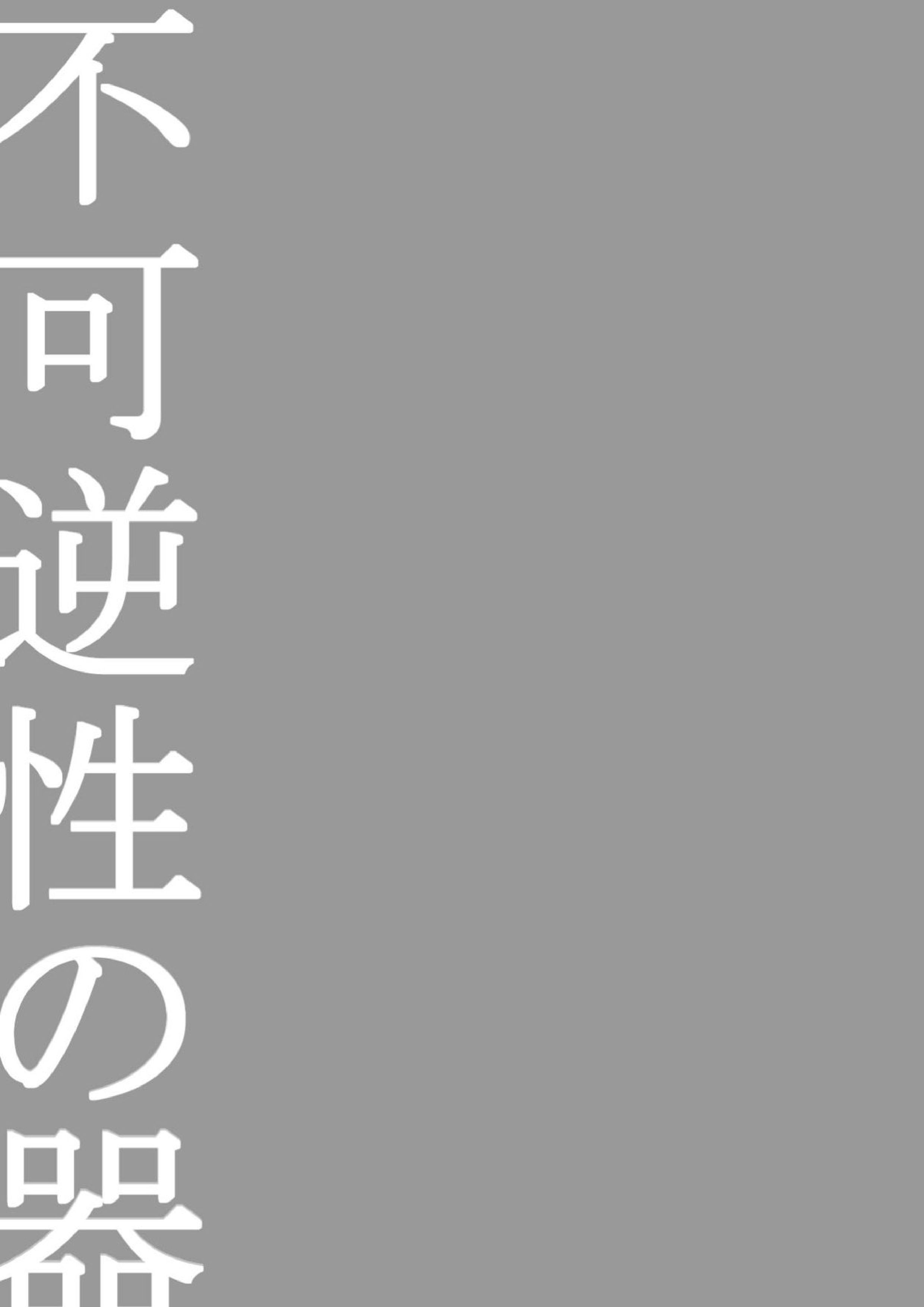 不可逆性の器 33ページ