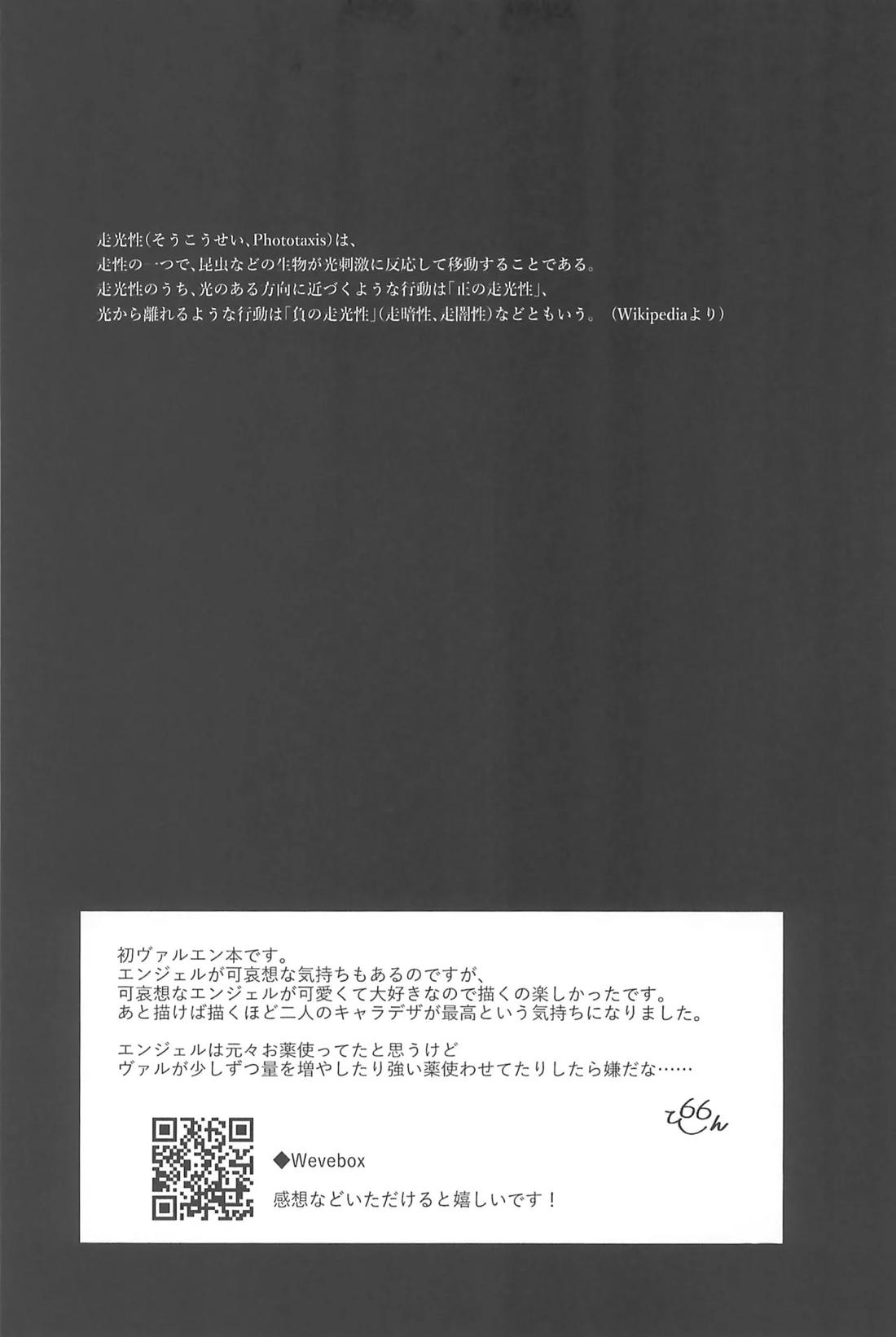 走光性 32ページ