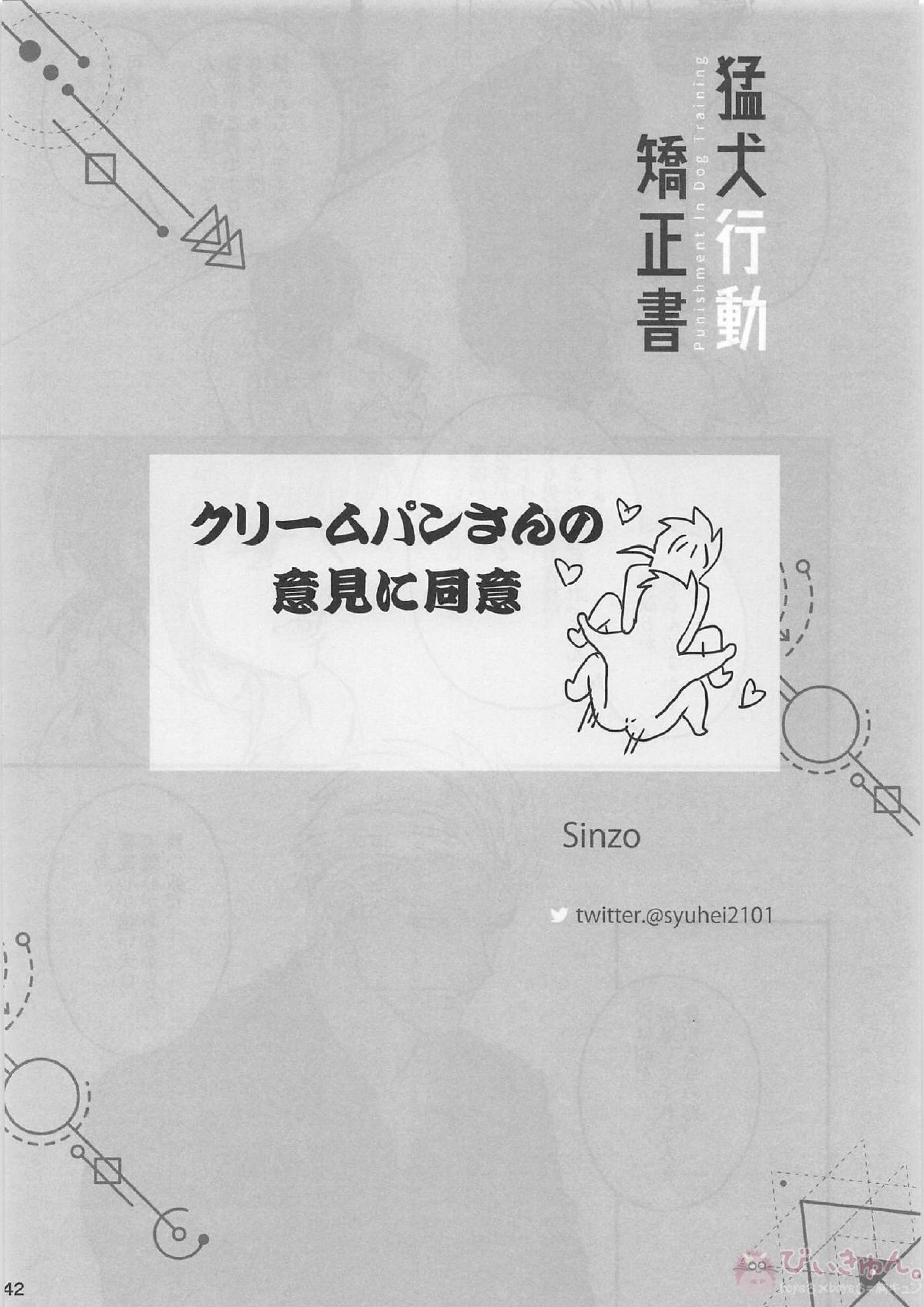 猛犬行動矯正書 43ページ