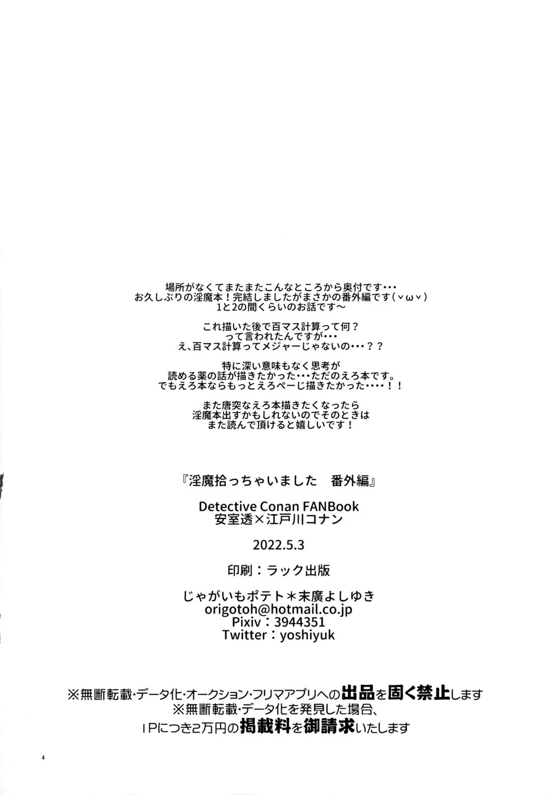 淫魔拾っちゃいました 番外編 3ページ