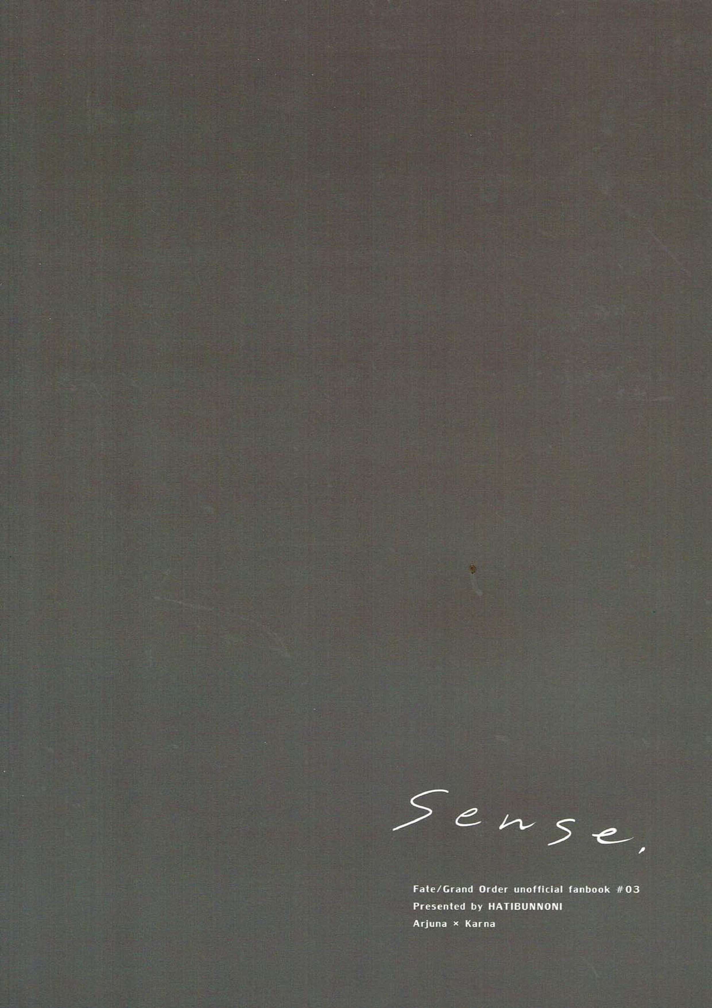 Sense, 30ページ