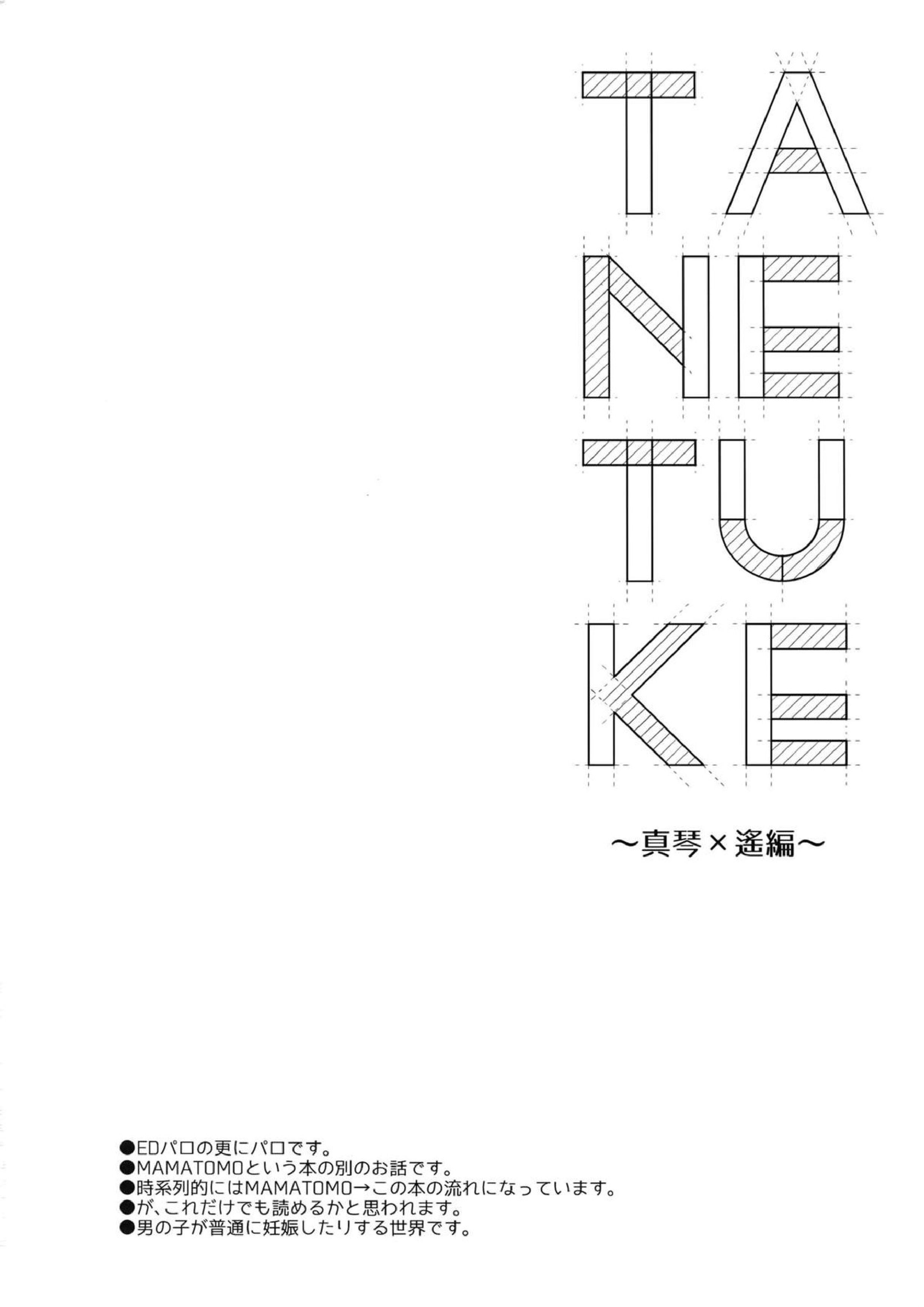 TANETUKE MH 3ページ