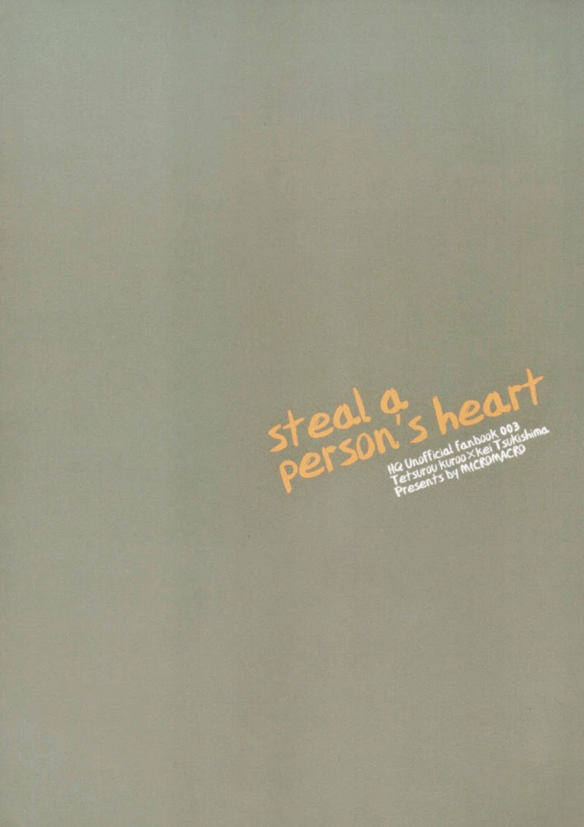 steal a person’s heart 46ページ