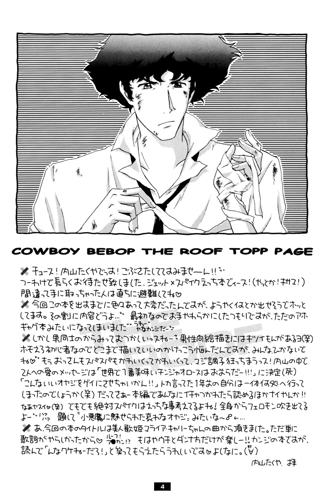 The Roof 4ページ