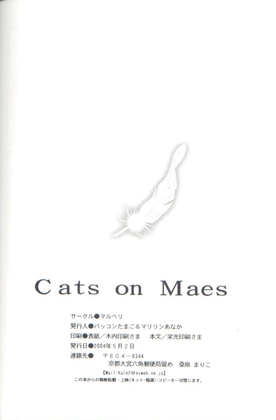 Cat on Maes 22ページ