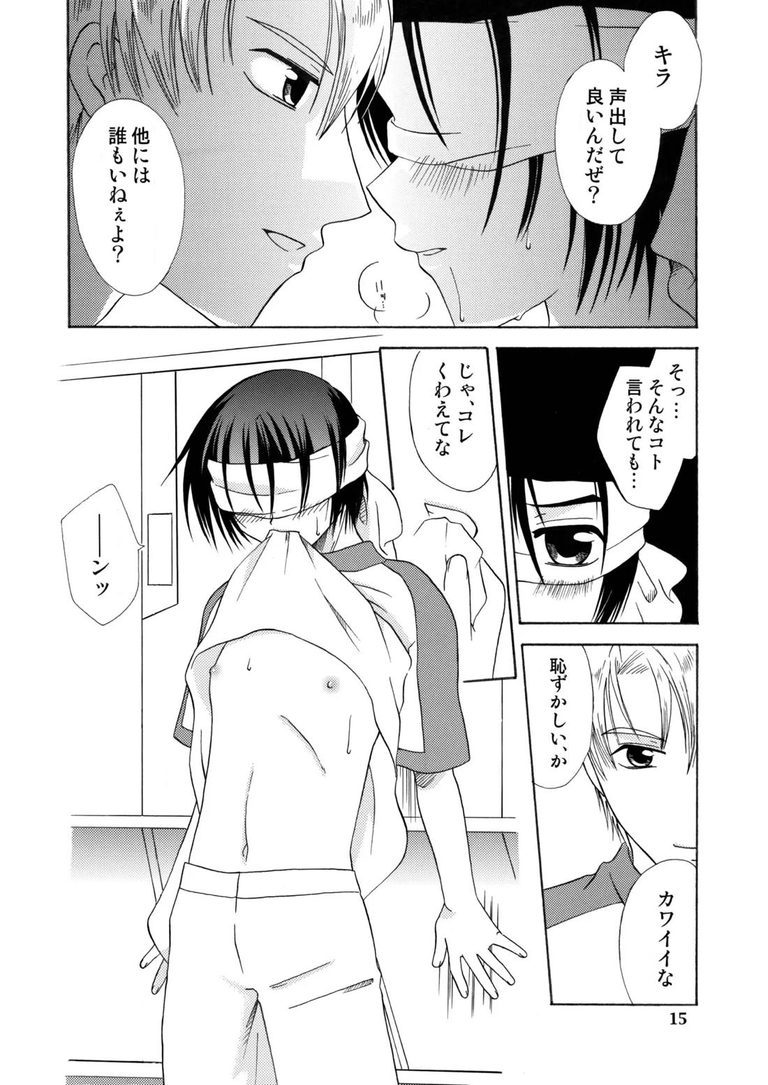 君の胸に宿る星 14ページ