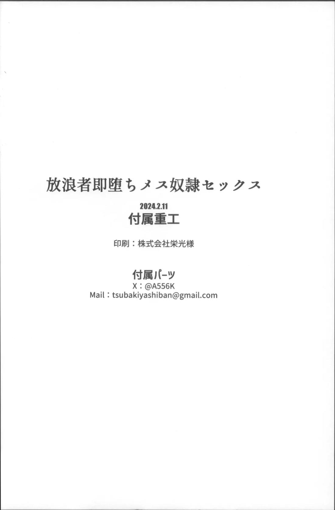 放浪者即堕ちメス奴隷セックス 29ページ