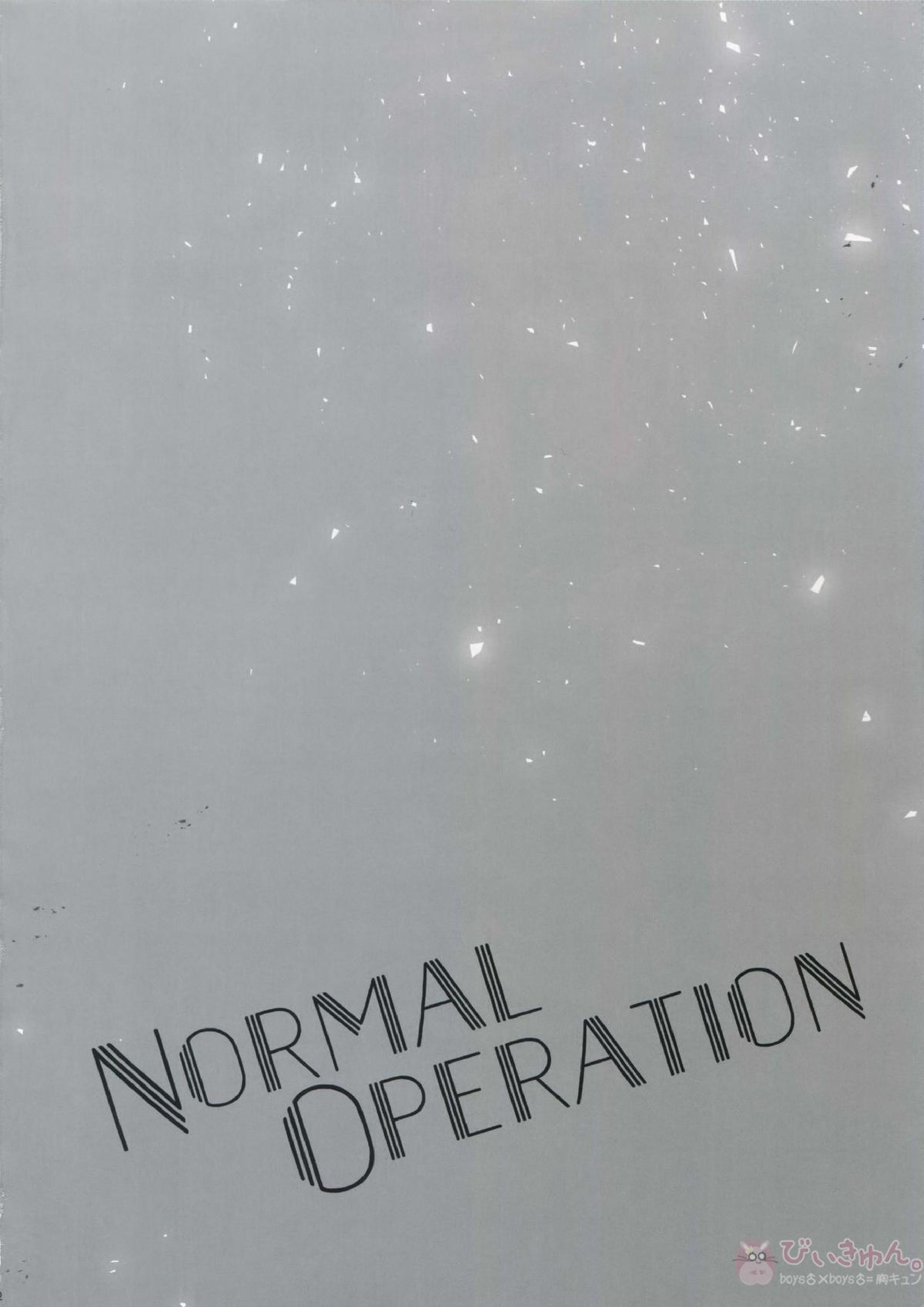 NORMAL OPERATION 3ページ