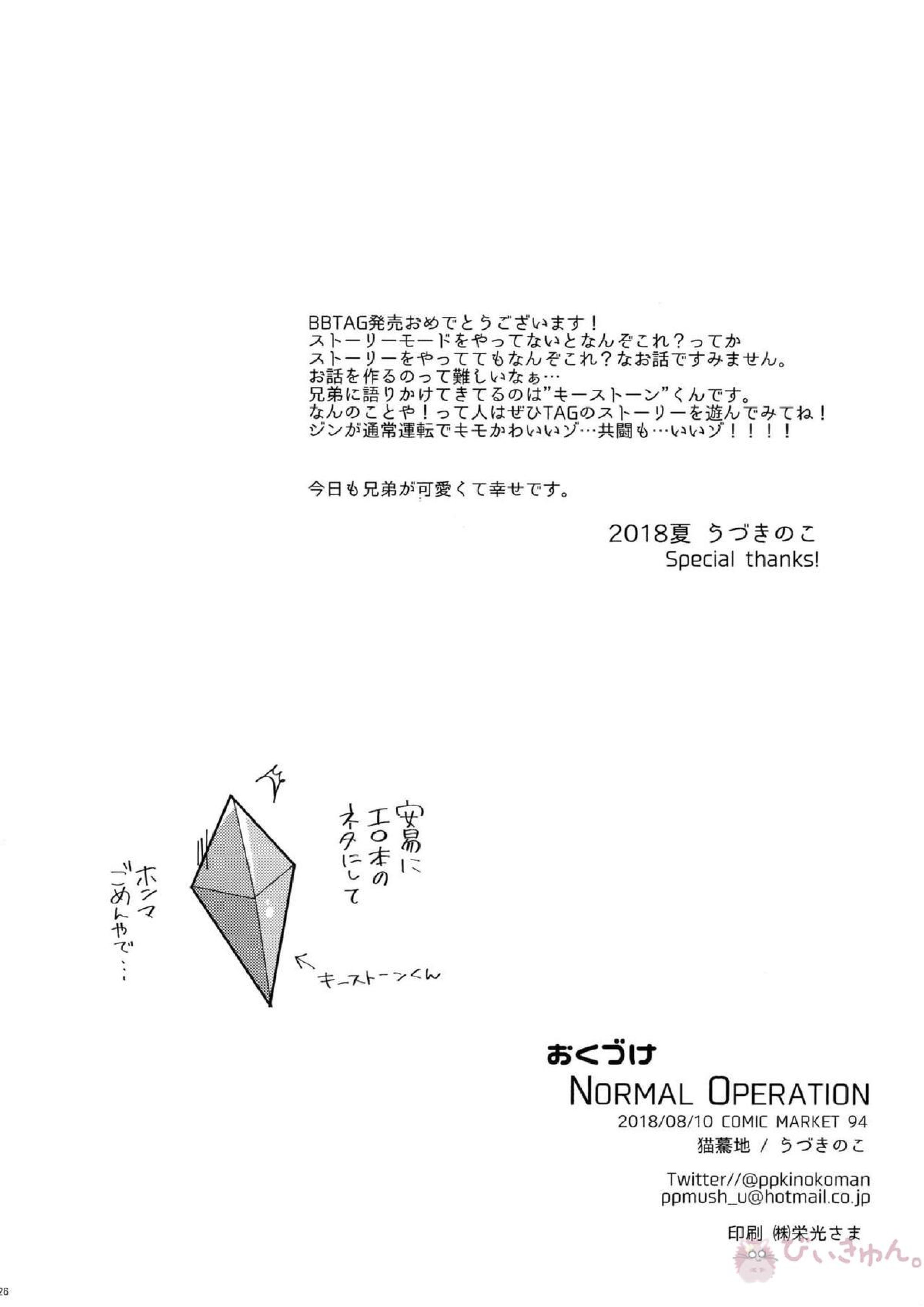 NORMAL OPERATION 27ページ