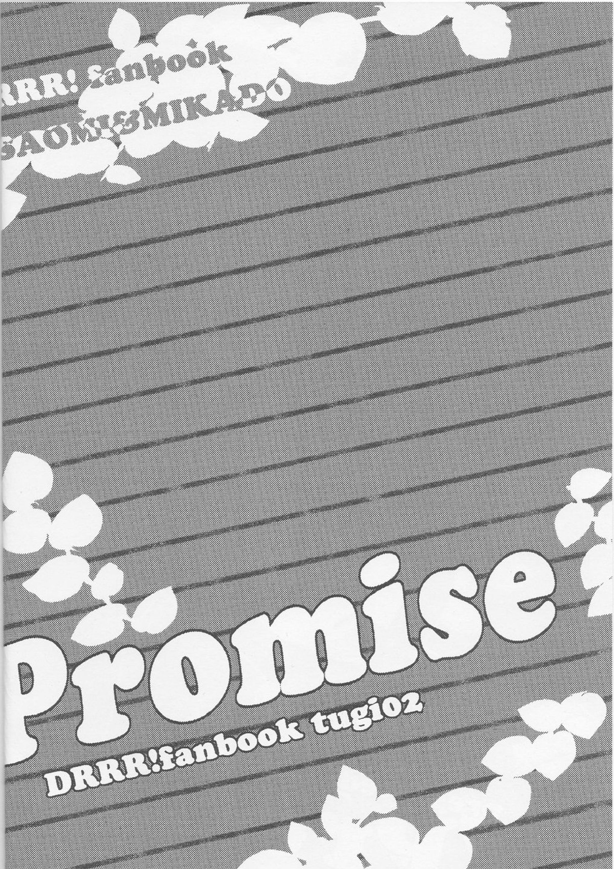Promise 3ページ