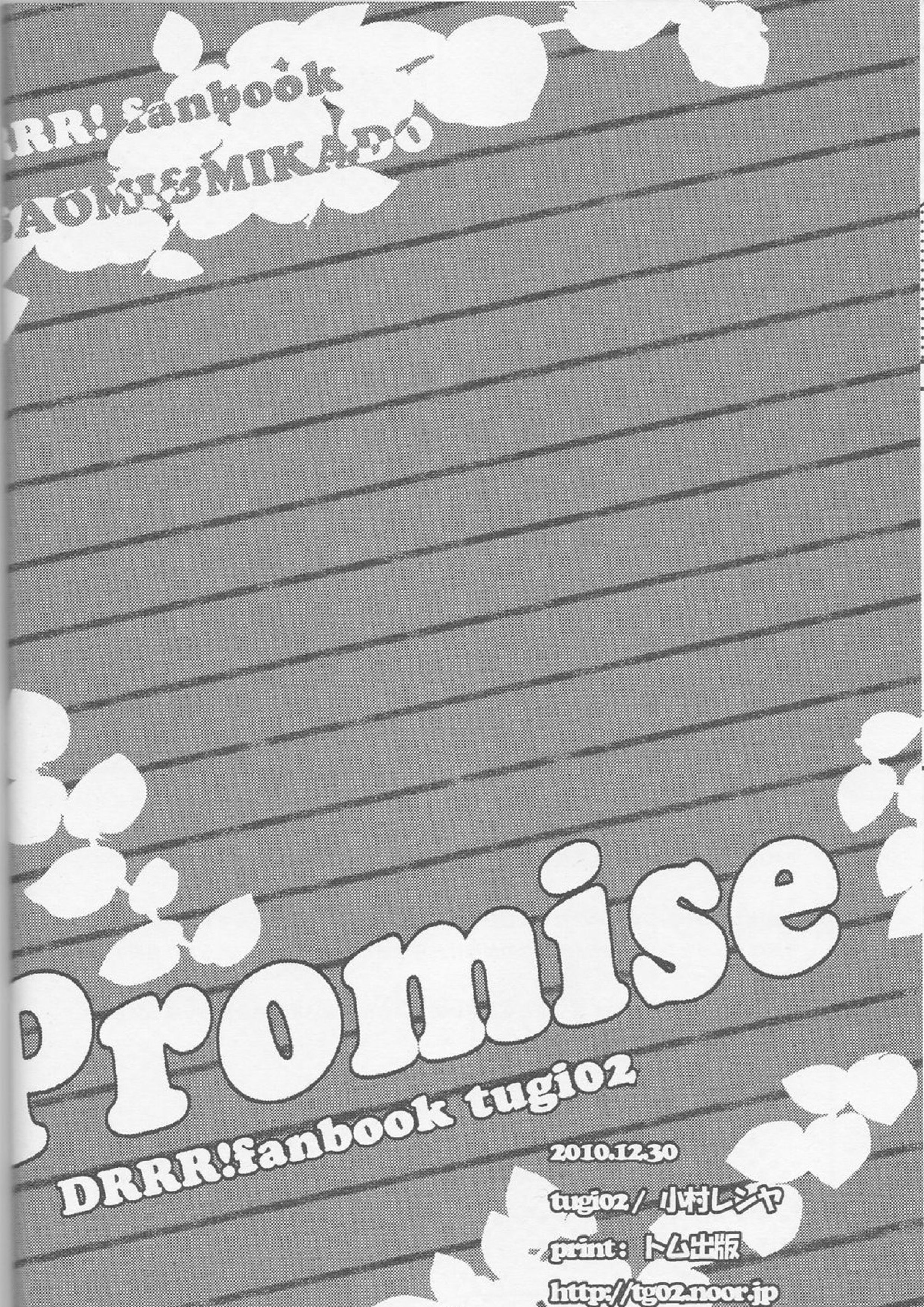 Promise 25ページ