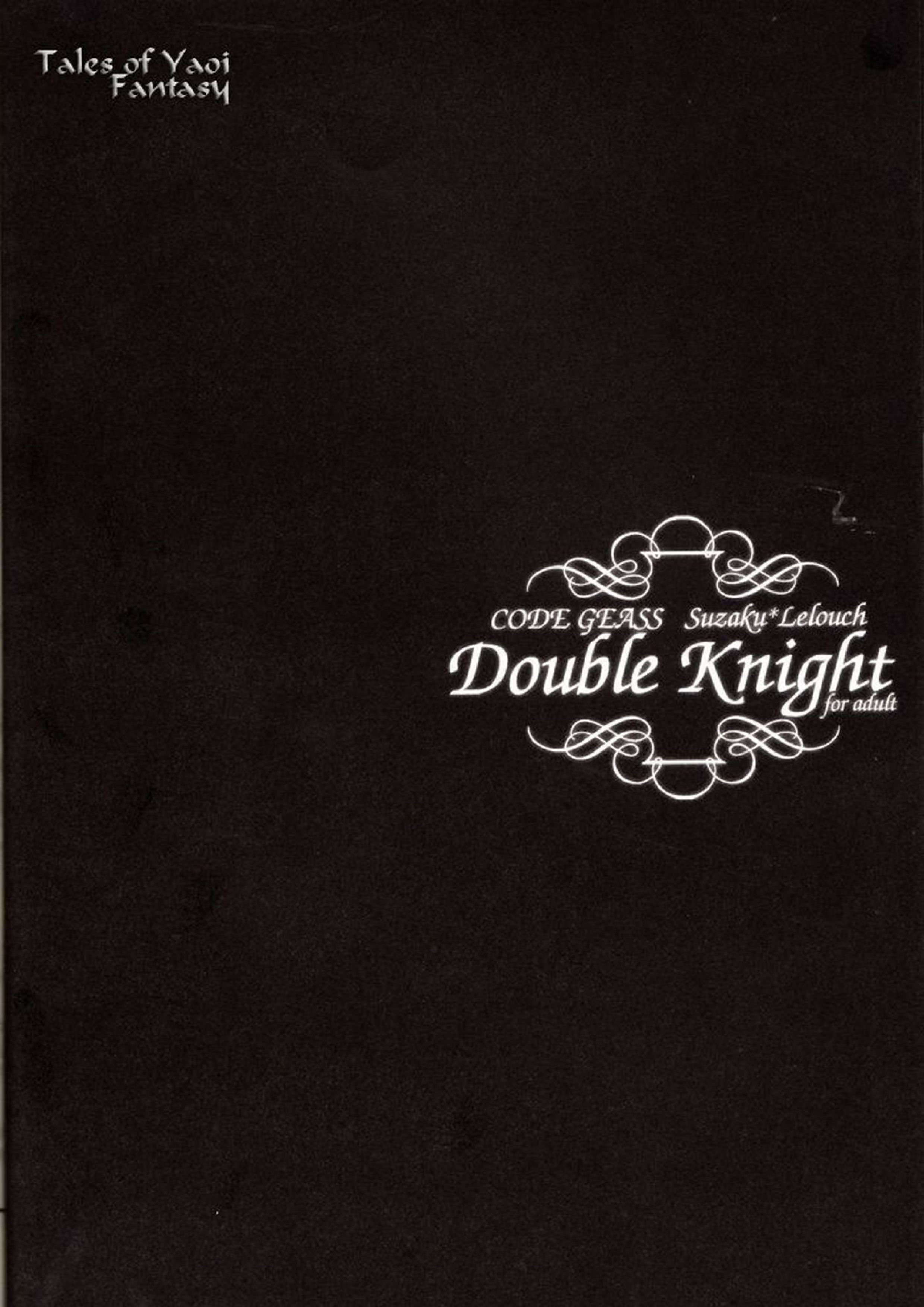 Double Knight 5ページ