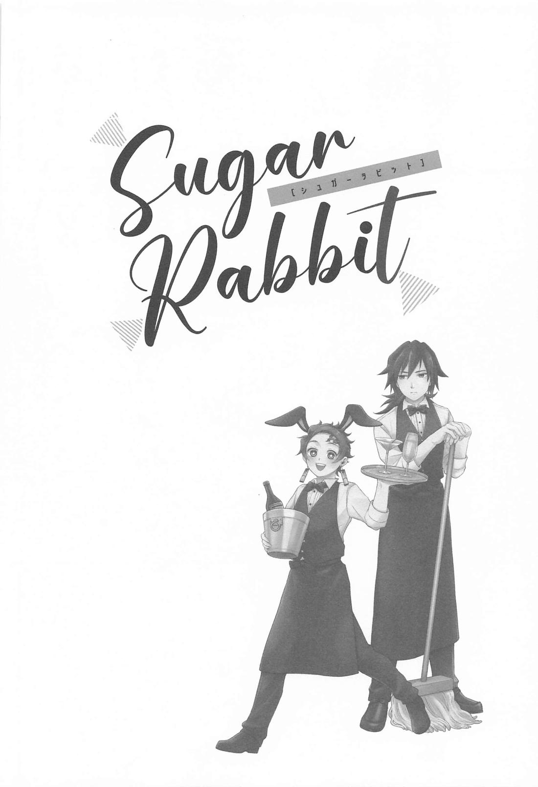 SugerRabbit 17ページ